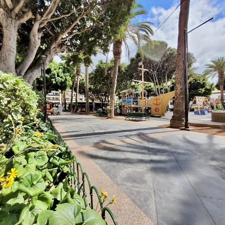 Estudio Hortensia * Puerto de la Cruz (Tenerife)